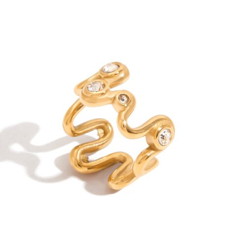 Geometric Curve Ring